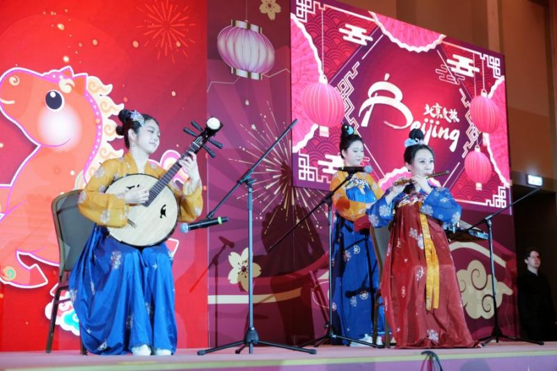 图为“欢乐春节”专场活动现场的文艺演出。北京市文化和旅游局供图