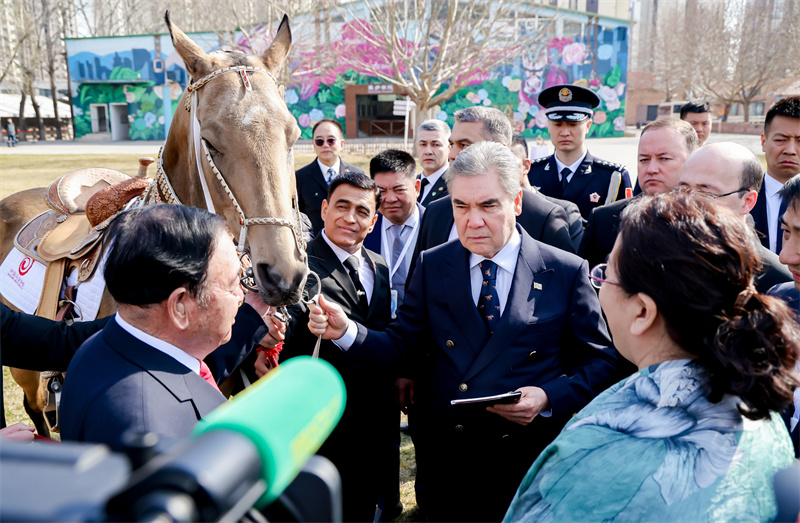 图片由中国马业协会提供