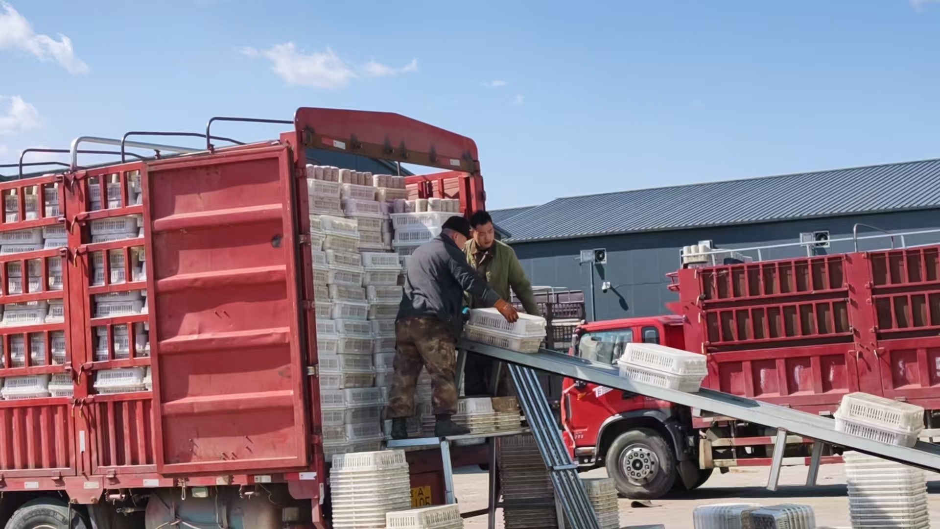 菌包厂出菌。东宁市委宣传部供图