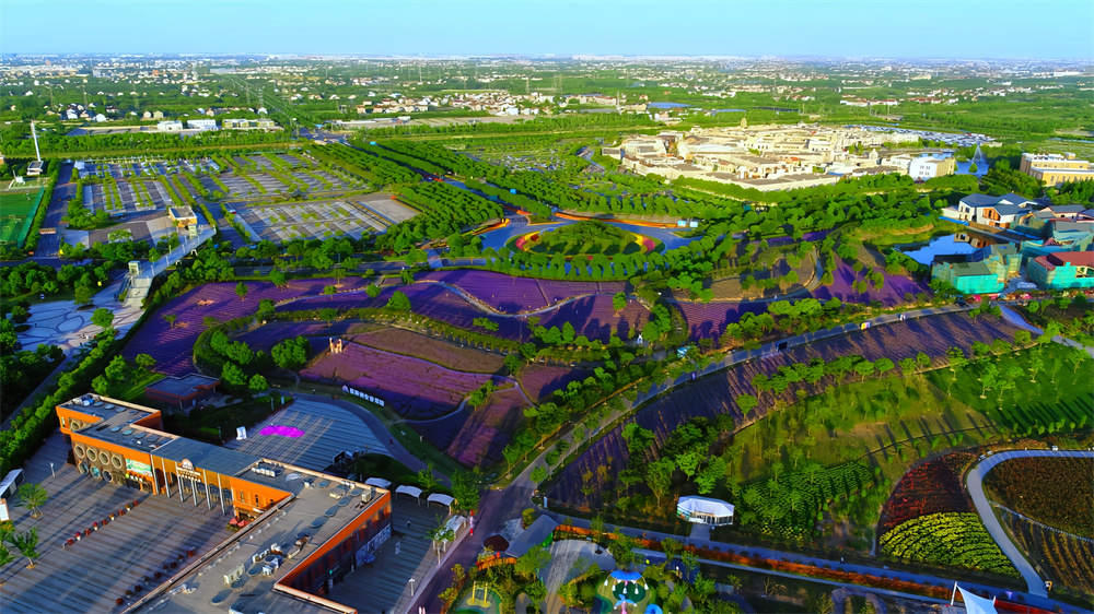 上海国际旅游度假区航拍。上海国际旅游度假区供图