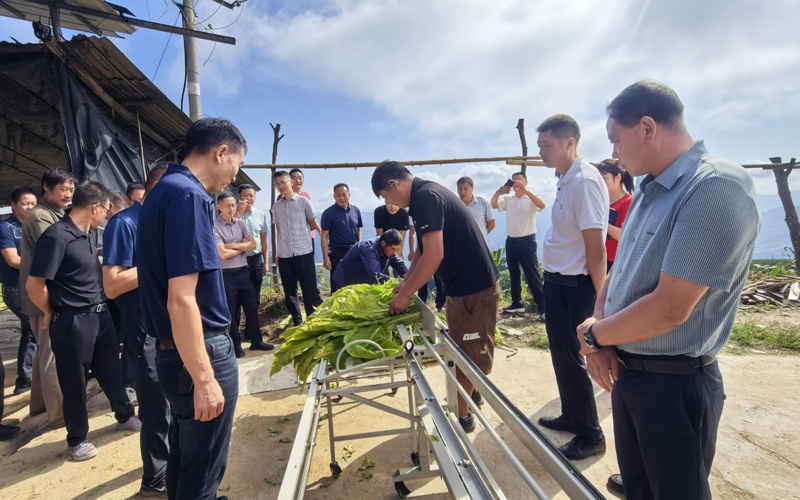 竹山县烟草专卖局（营销部）在官渡镇小河村进行编烟机现场认证。龚铭铭摄